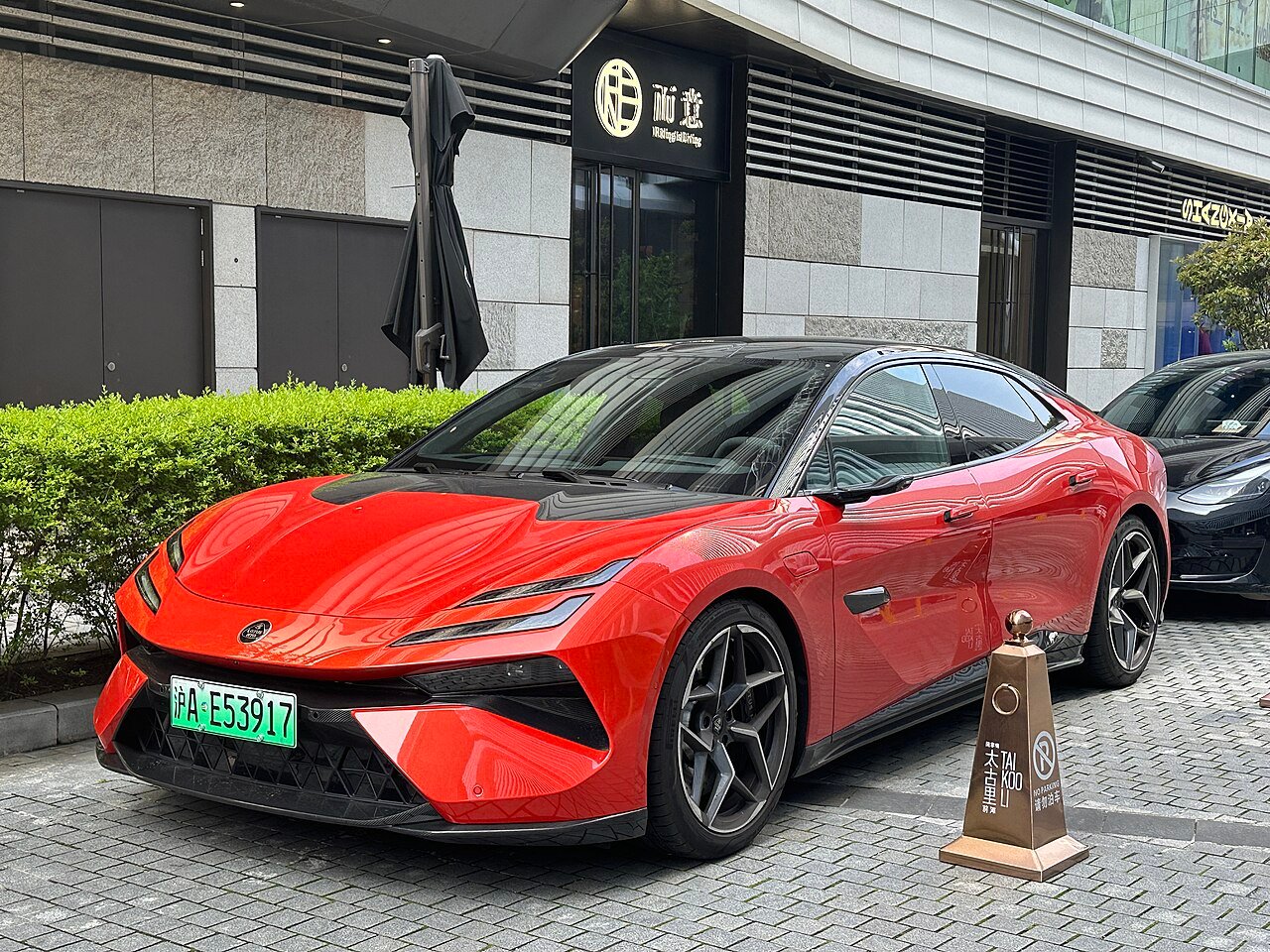 Lotus Emeya